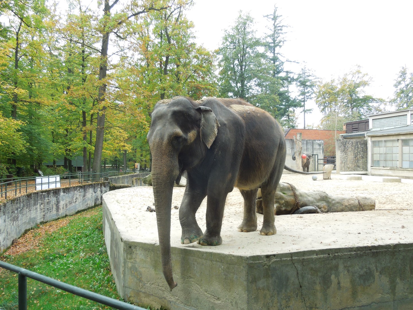 2014-10-11 ŠD zoo Liberec 014 (Large)