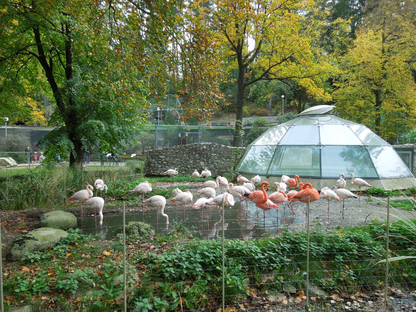 2014-10-11 ŠD zoo Liberec 045 (Large)