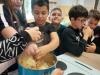 IMG-20261009-WA0008