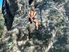 IMG-20240820-WA0008