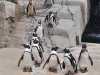 IMG-20261007-WA0047