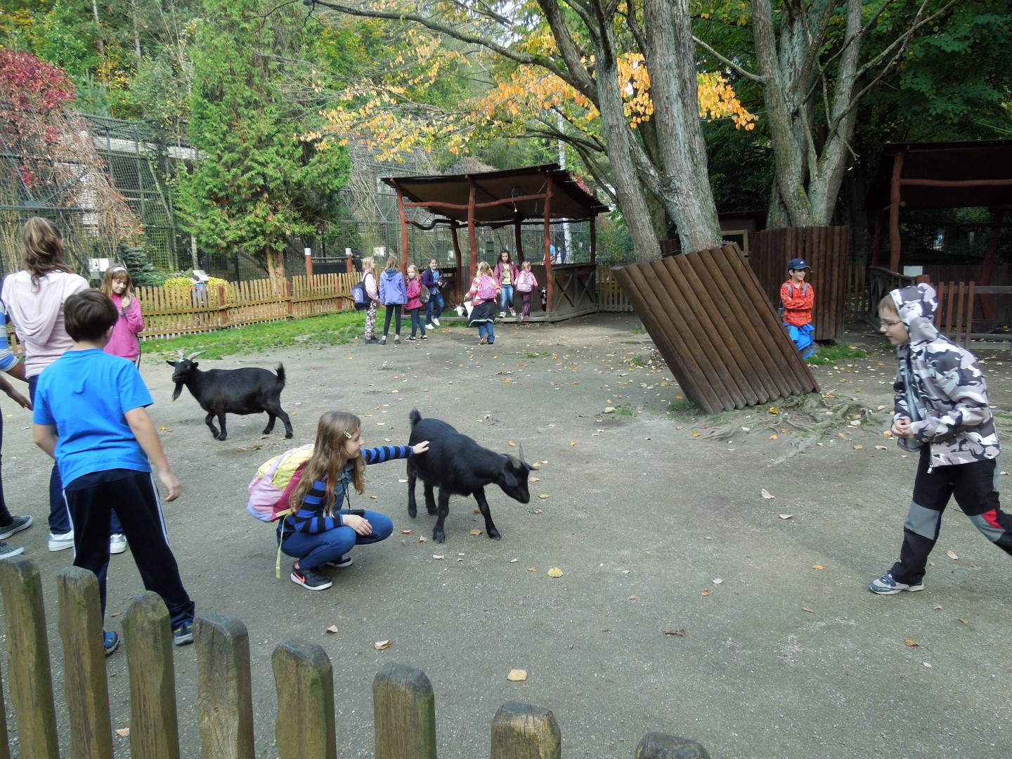 2014-10-11 ŠD zoo Liberec 076 (Large)